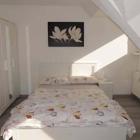 1-room In *